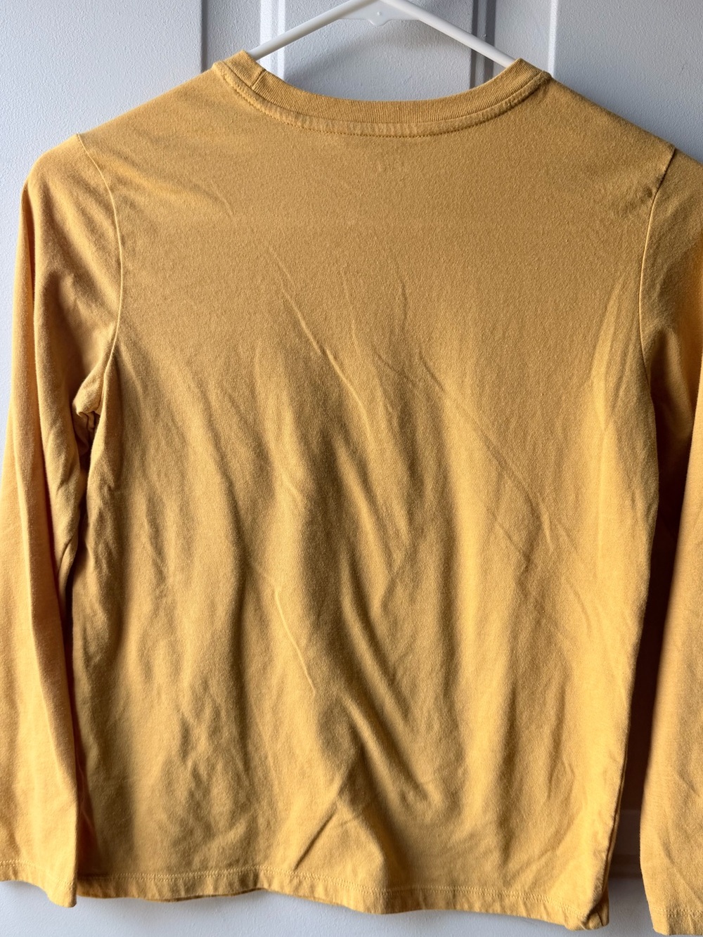 Cat & Jack Mustard Bug Graphic Long Sleeve Tee Boys Medium (8) Insect Nature - Picture 4 of 6